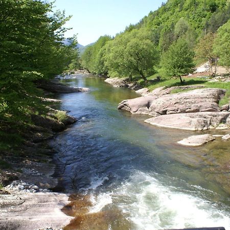 Семеен Хотел Федора Ribarica Extérieur photo