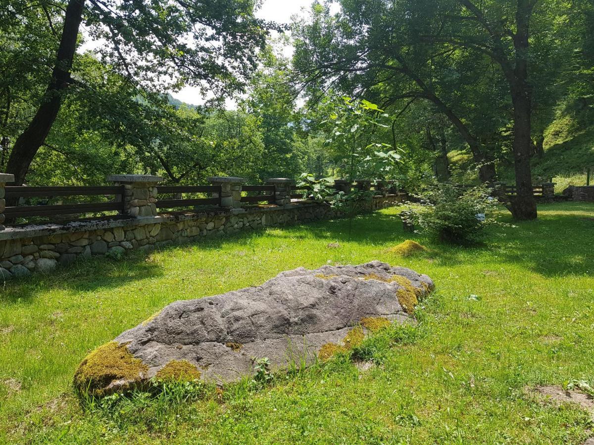 Семеен Хотел Федора Ribarica Extérieur photo